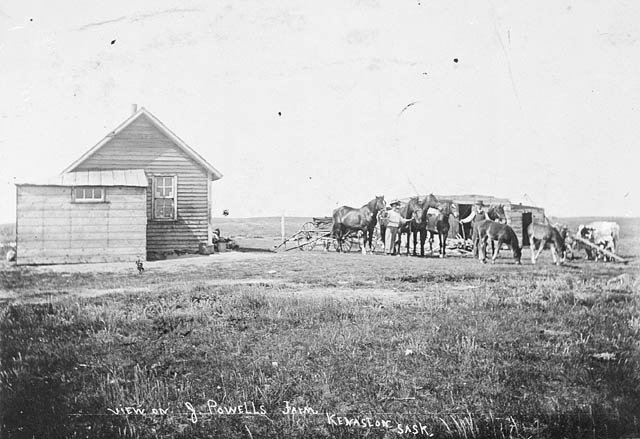 A homestead and team of horses on the Saskatchewan prairie, early 1900s