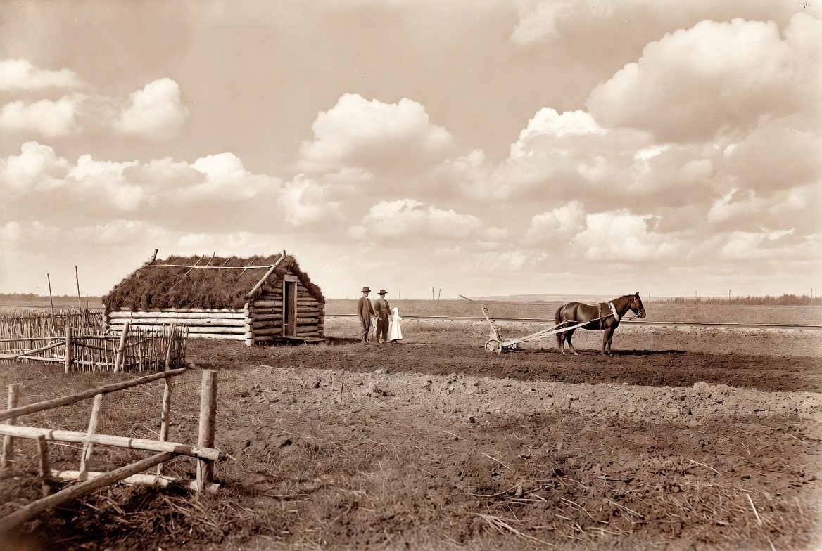 A sod-and-log homestead breaking new prairie ground in Manitoba, 1890s