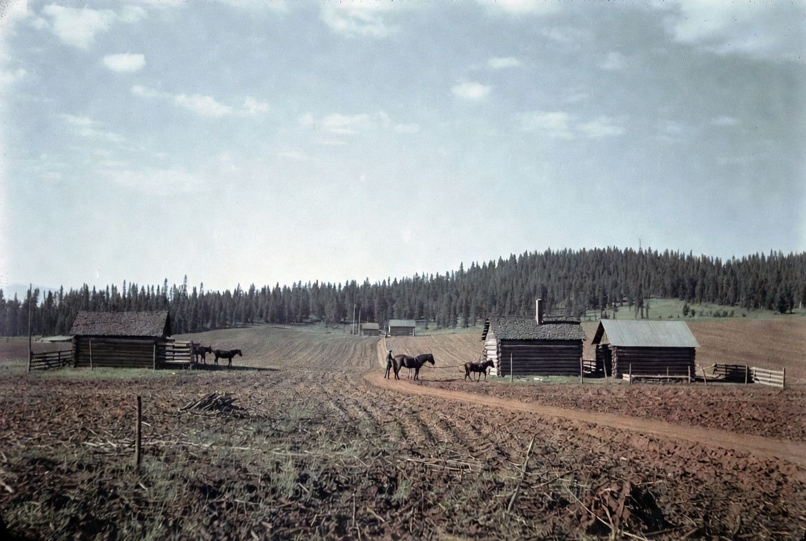 A log homestead against spruce bush under a northern prairie sky, 1930s